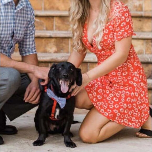 ✨ Garden Explorer Red Floral Print Mini Dress✨ - Picture 10 of 12